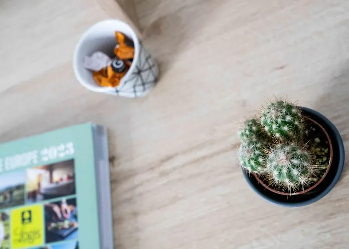 Urban Style Le Relais 비아히쯔